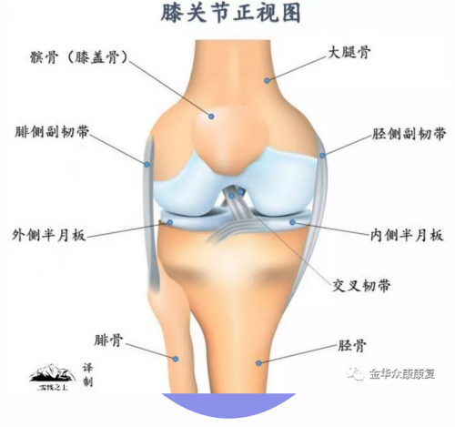 爬山、練太極會導(dǎo)致膝關(guān)節(jié)疼痛嗎？