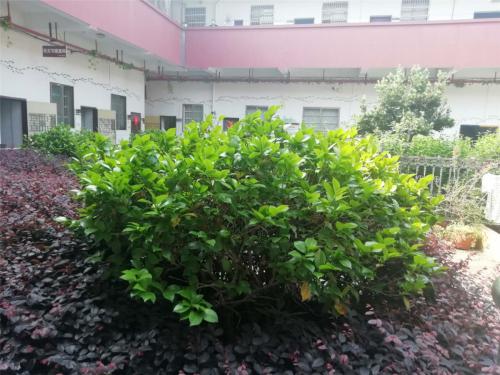 脊椎不好，暗示你的問題有哪些？